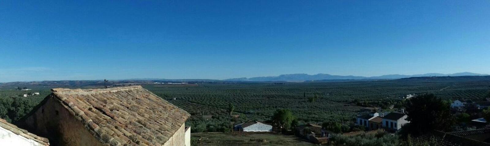 Casa Rural Verde Oliva Baños de la Encina Kültér fotó